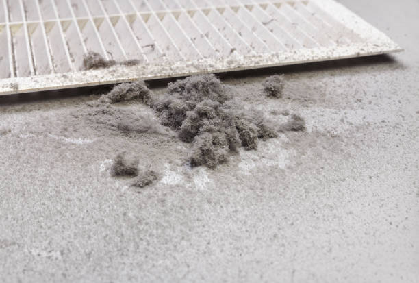Best Ductwork Cleaning Services  in Kamiah, ID